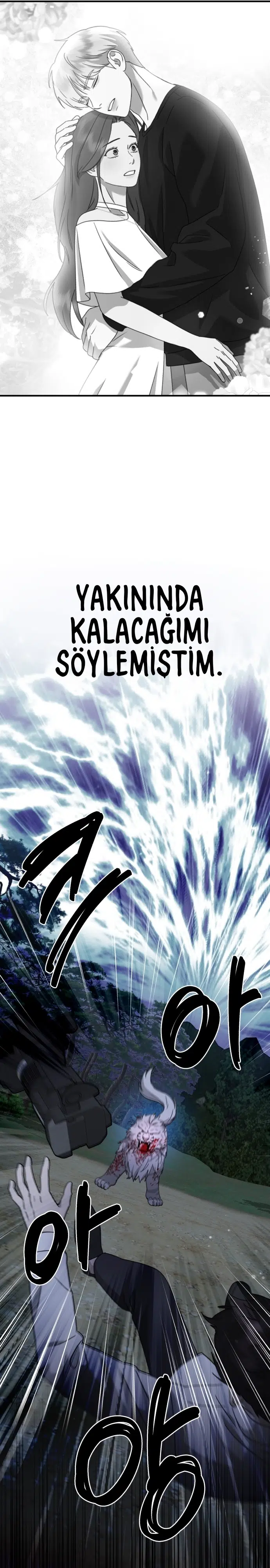 Sis Dağının Kaplanı - Bölüm 45 Sayfa 11