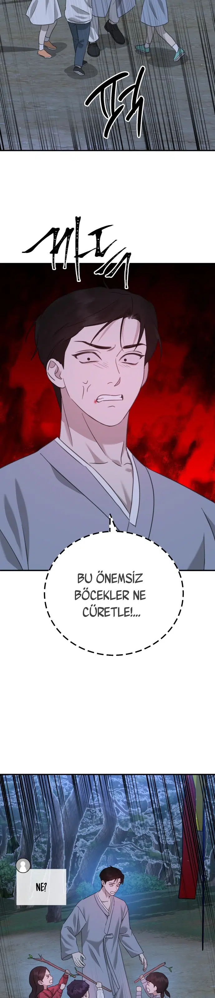 Sis Dağının Kaplanı - Bölüm 48 Sayfa 12