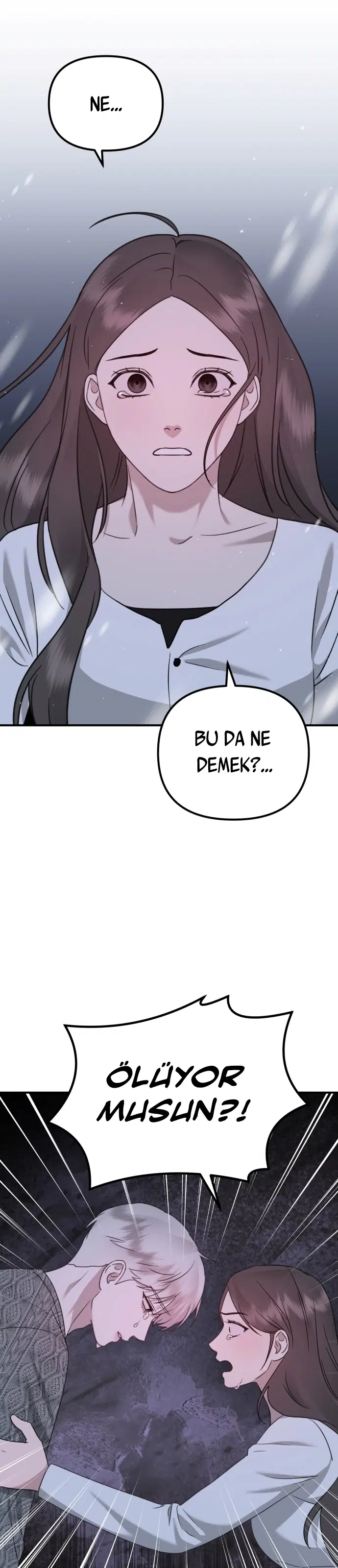 Sis Dağının Kaplanı - Bölüm 50 Sayfa 2