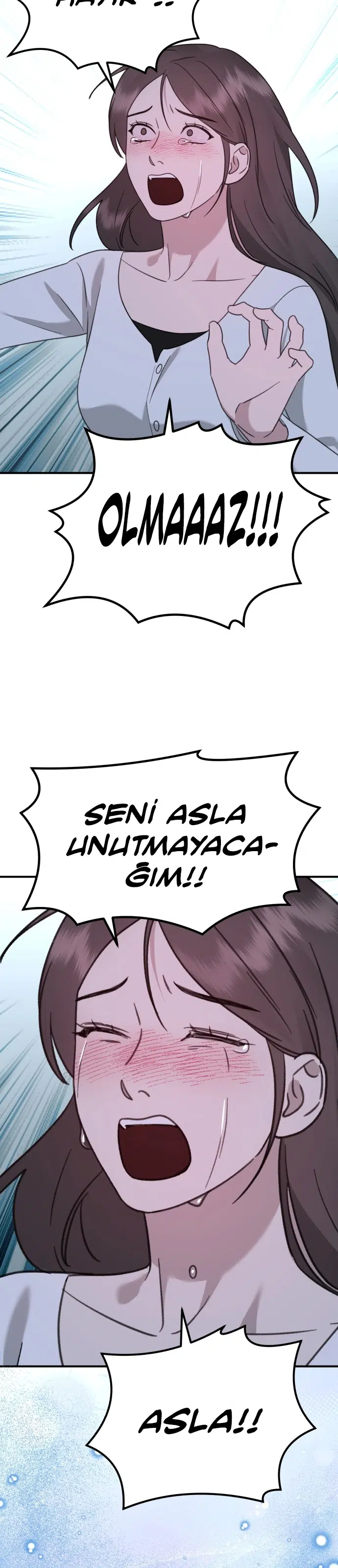 Sis Dağının Kaplanı - Bölüm 50 Sayfa 13