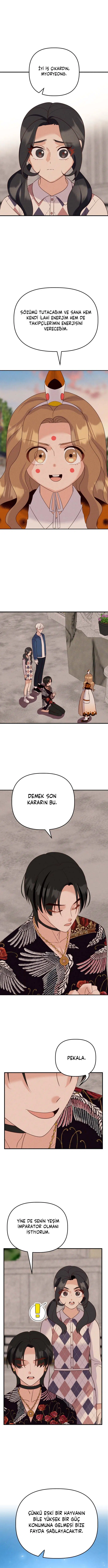 Doğaüstü Ev Arkadaşları - Bölüm 58 Sayfa 15