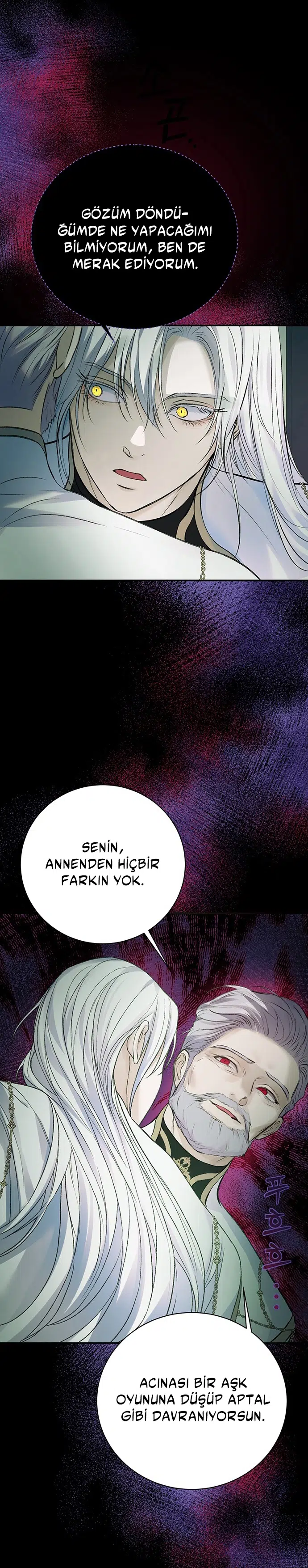 Sonum Geldi Sanmıştım! - Bölüm 51 Sayfa 29