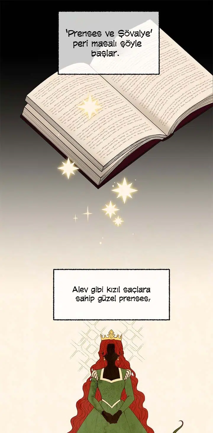 Prense Yazılan Mektuplar - Bölüm 1 Sayfa 2