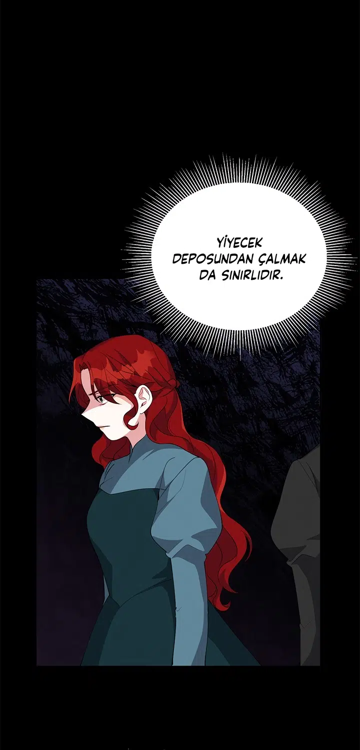 Prense Yazılan Mektuplar - Bölüm 25 Sayfa 17
