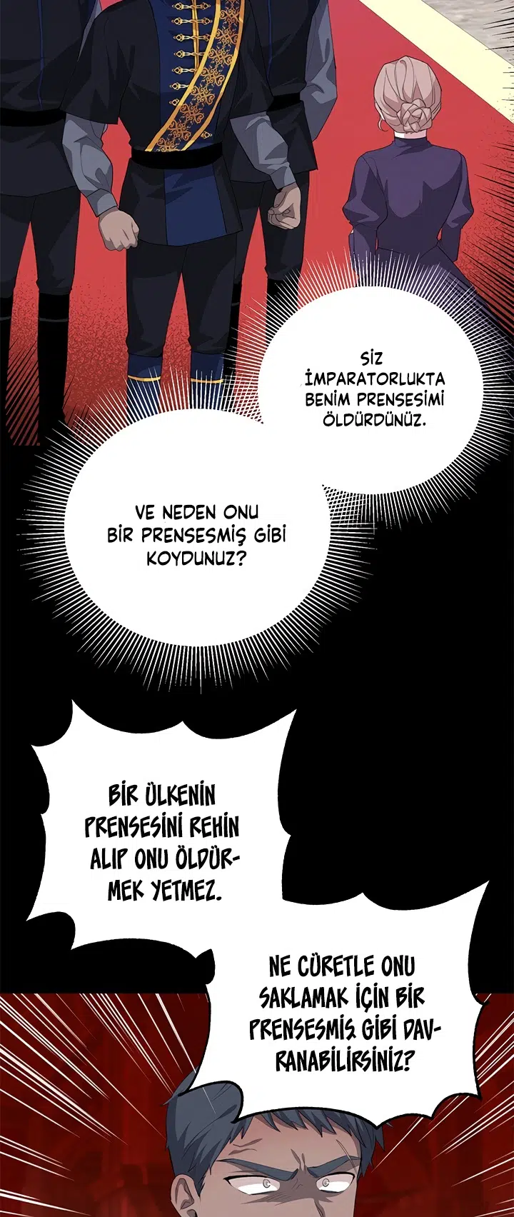 Prense Yazılan Mektuplar - Bölüm 25 Sayfa 42
