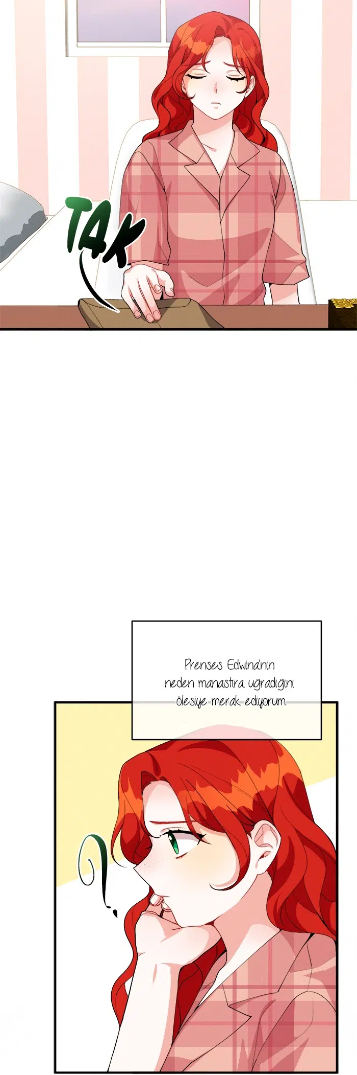 Prense Yazılan Mektuplar - Bölüm 27 Sayfa 17