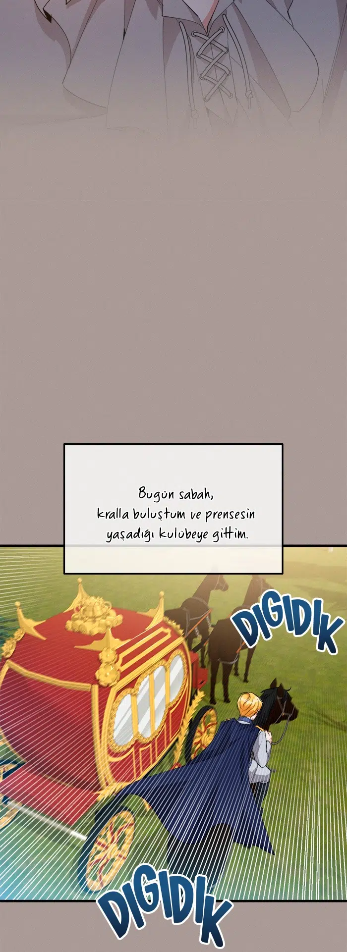 Prense Yazılan Mektuplar - Bölüm 28 Sayfa 17