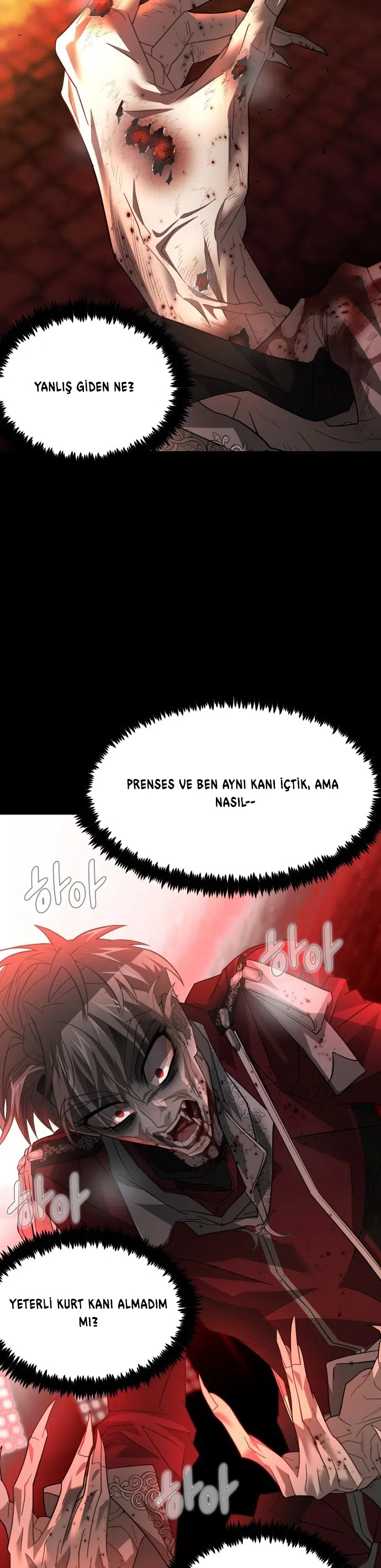 Dark Moon = Kan Sunağı - Bölüm 42 Sayfa 5