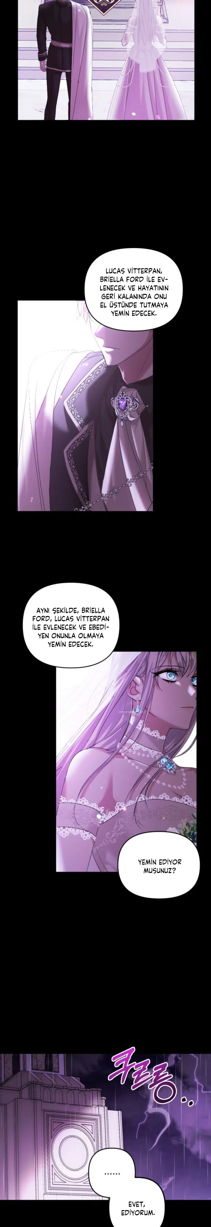 İntikam İcin Evlilik İttifakı - Bölüm 1 Sayfa 3