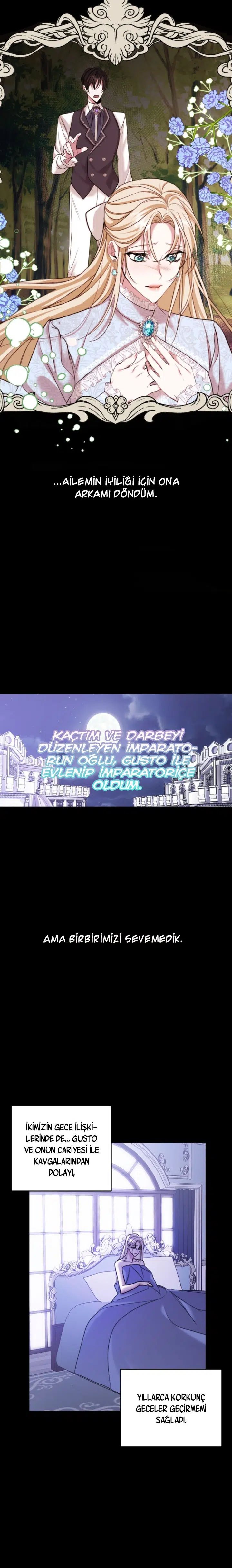 İntikam İcin Evlilik İttifakı - Bölüm 1 Sayfa 15