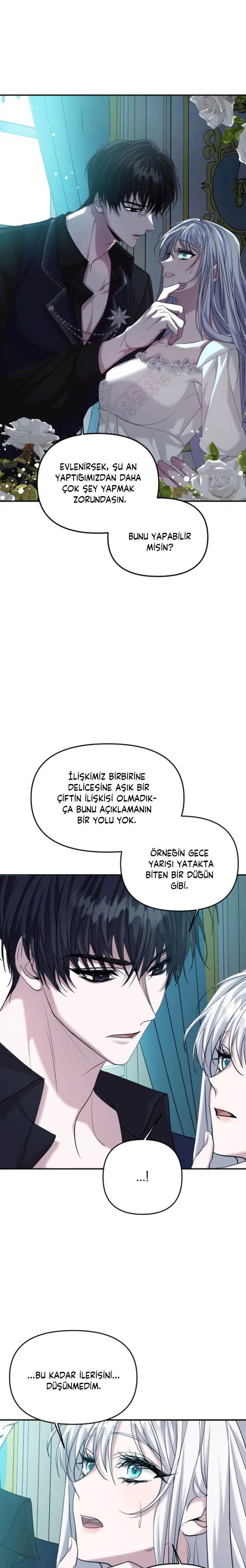 İntikam İcin Evlilik İttifakı - Bölüm 3 Sayfa 29