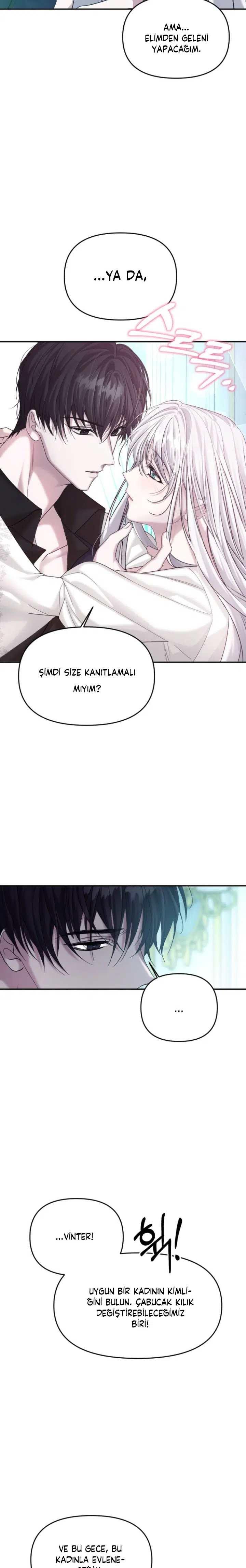 İntikam İcin Evlilik İttifakı - Bölüm 3 Sayfa 30