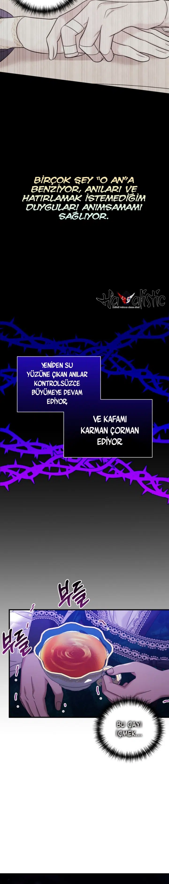 İntikam İcin Evlilik İttifakı - Bölüm 16 Sayfa 29