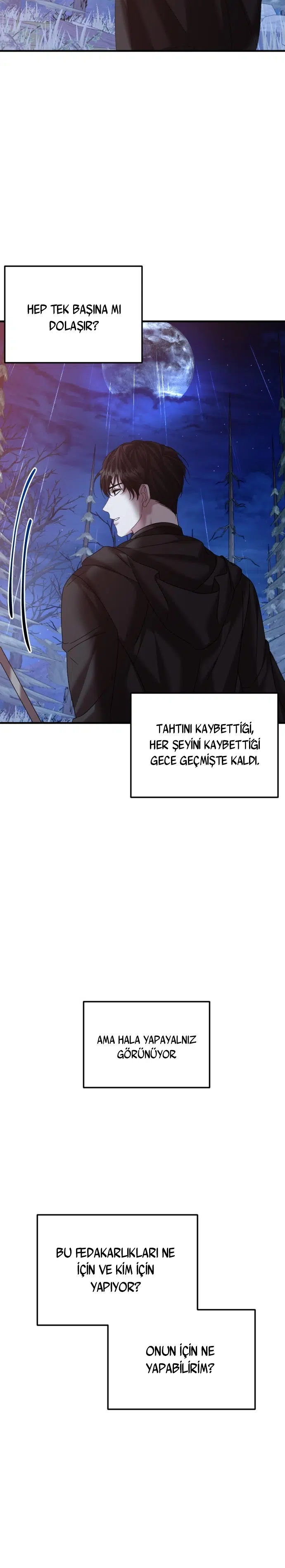 İntikam İcin Evlilik İttifakı - Bölüm 24 Sayfa 17