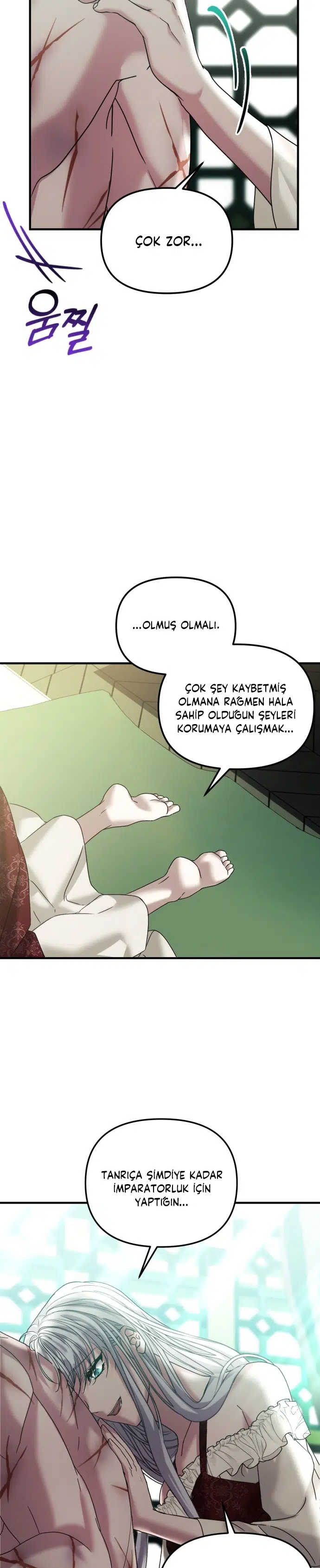 İntikam İcin Evlilik İttifakı - Bölüm 26 Sayfa 19