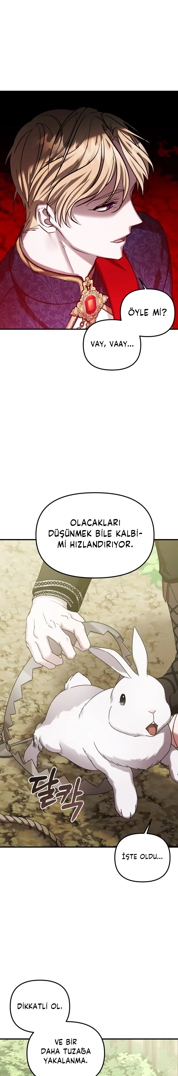 İntikam İcin Evlilik İttifakı - Bölüm 38 Sayfa 21