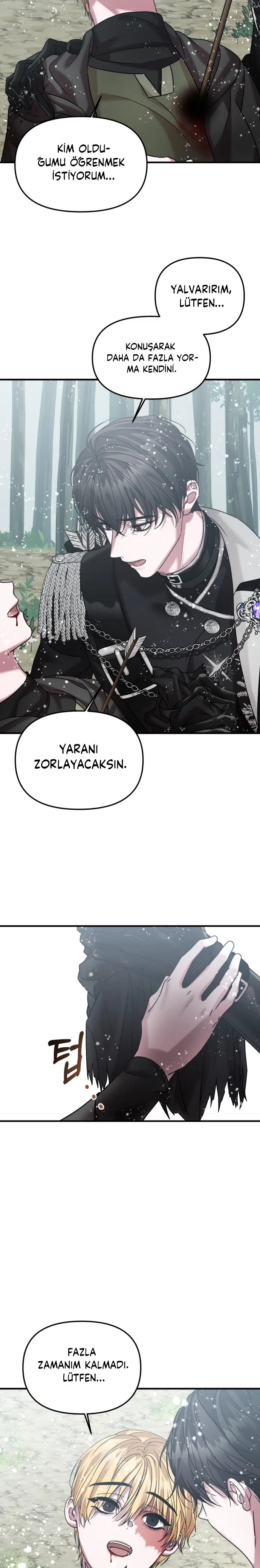 İntikam İcin Evlilik İttifakı - Bölüm 42 Sayfa 19