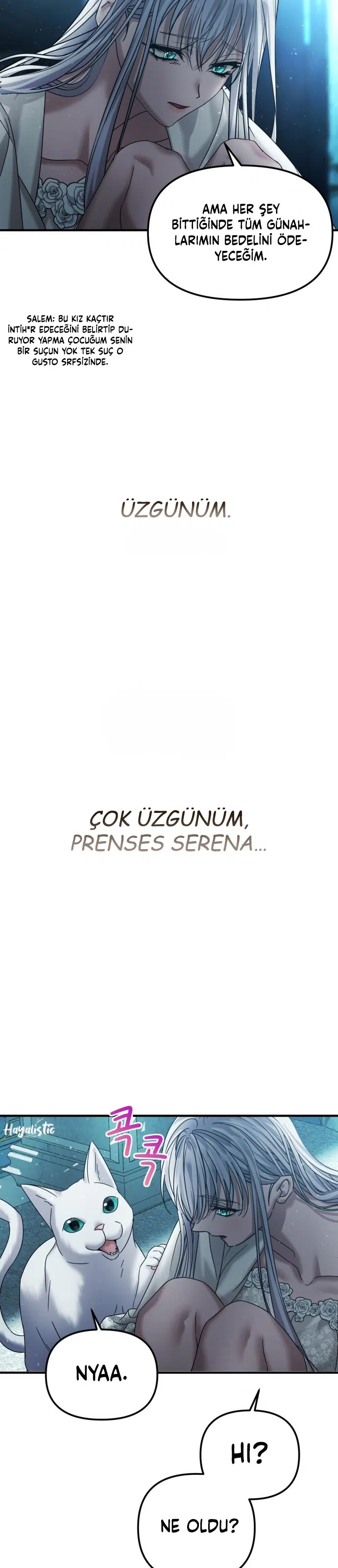 İntikam İcin Evlilik İttifakı - Bölüm 47 Sayfa 20