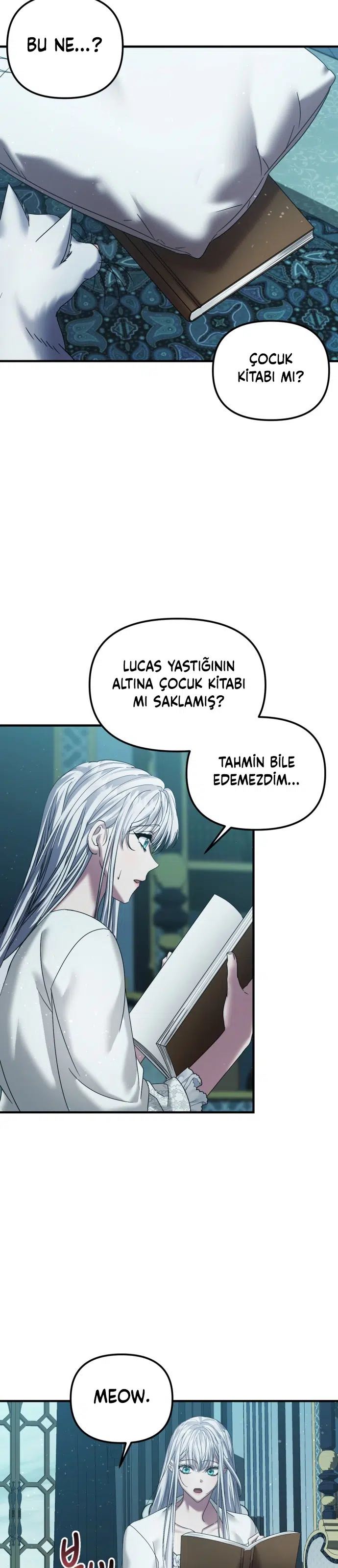 İntikam İcin Evlilik İttifakı - Bölüm 47 Sayfa 22