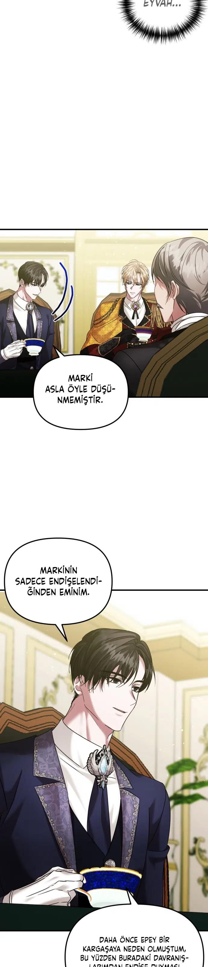 İntikam İcin Evlilik İttifakı - Bölüm 56 Sayfa 12