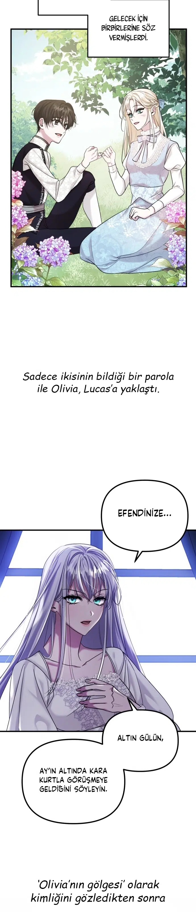 İntikam İcin Evlilik İttifakı - Bölüm 71 Sayfa 11