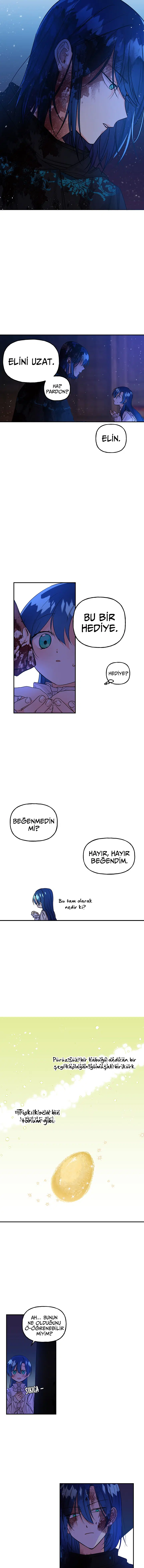 Büyünün Varisi - Bölüm 3 Sayfa 3