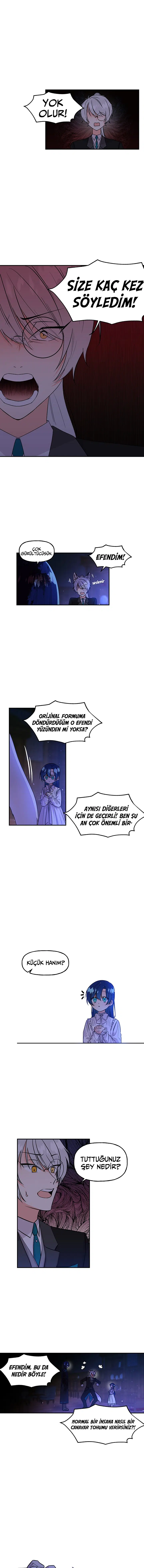 Büyünün Varisi - Bölüm 3 Sayfa 5