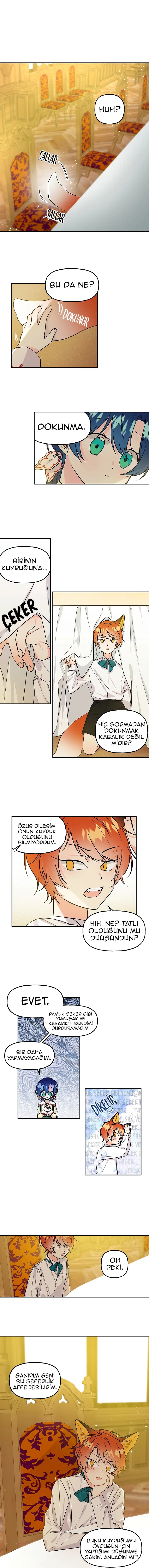 Büyünün Varisi - Bölüm 5 Sayfa 2