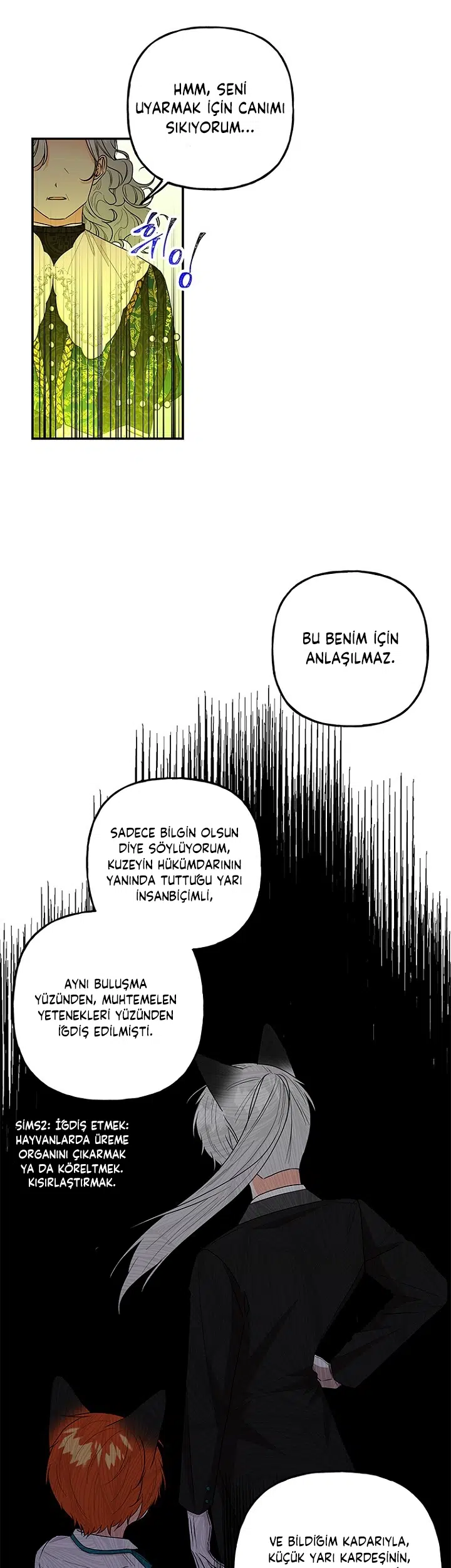 Büyünün Varisi - Bölüm 100 Sayfa 11