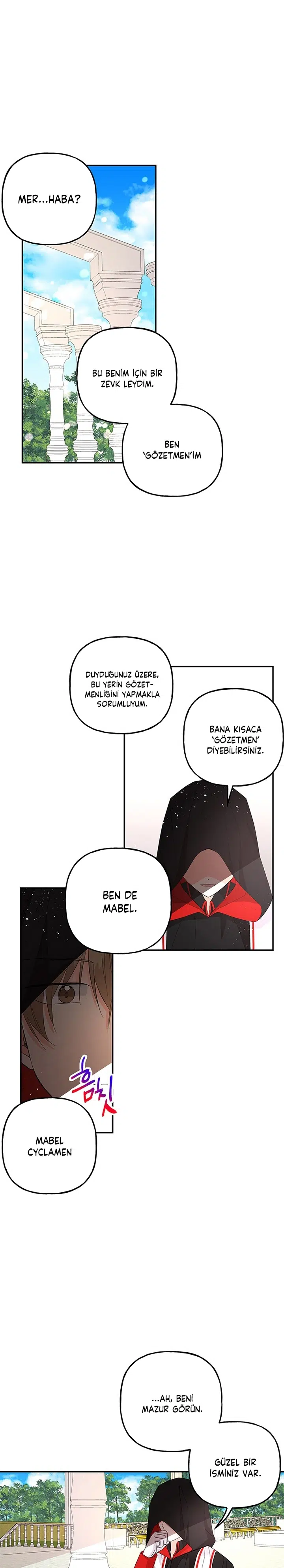 Büyünün Varisi - Bölüm 109 Sayfa 2