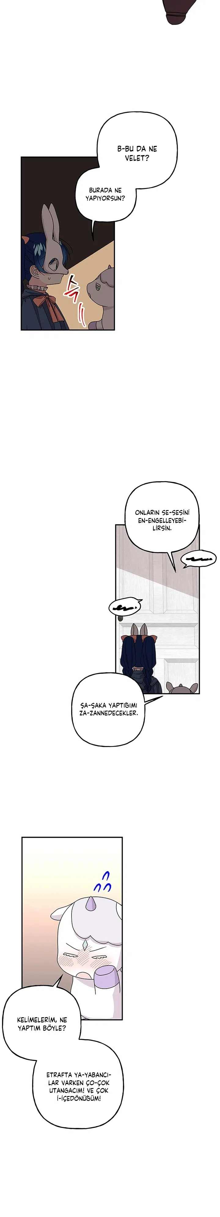 Büyünün Varisi - Bölüm 112 Sayfa 17