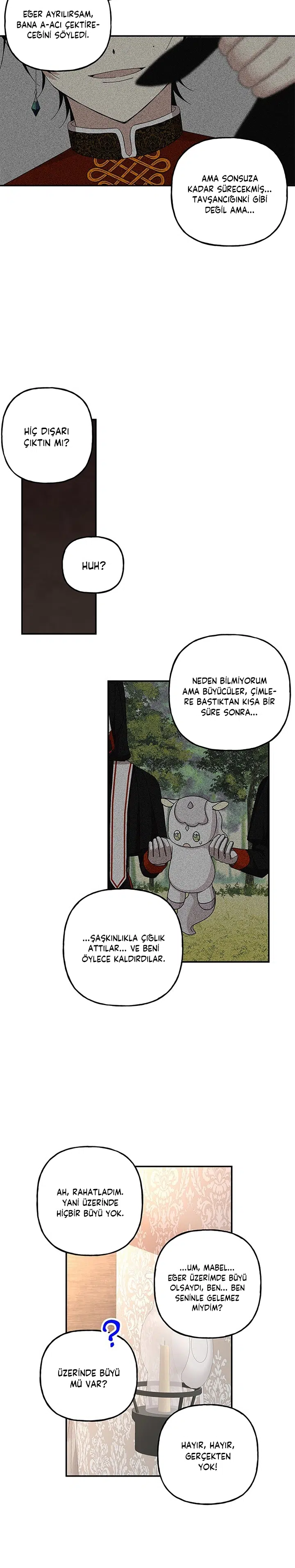 Büyünün Varisi - Bölüm 113 Sayfa 20