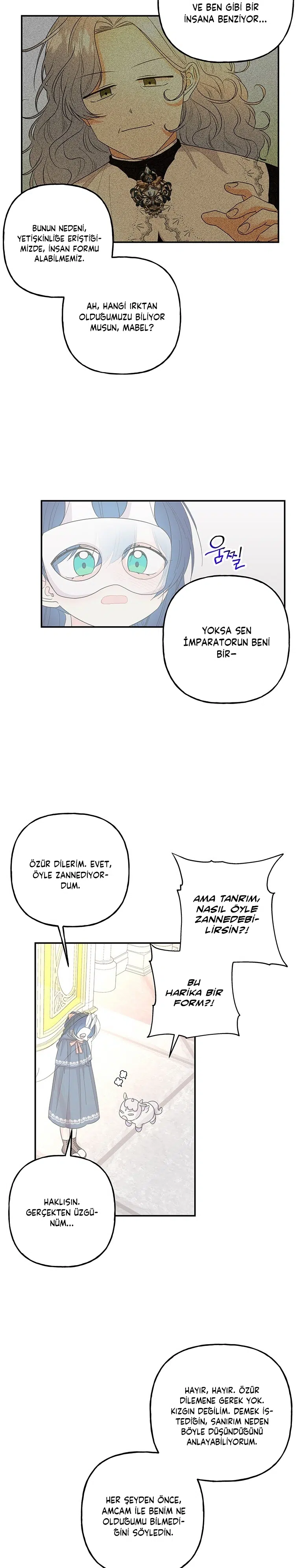 Büyünün Varisi - Bölüm 114 Sayfa 22