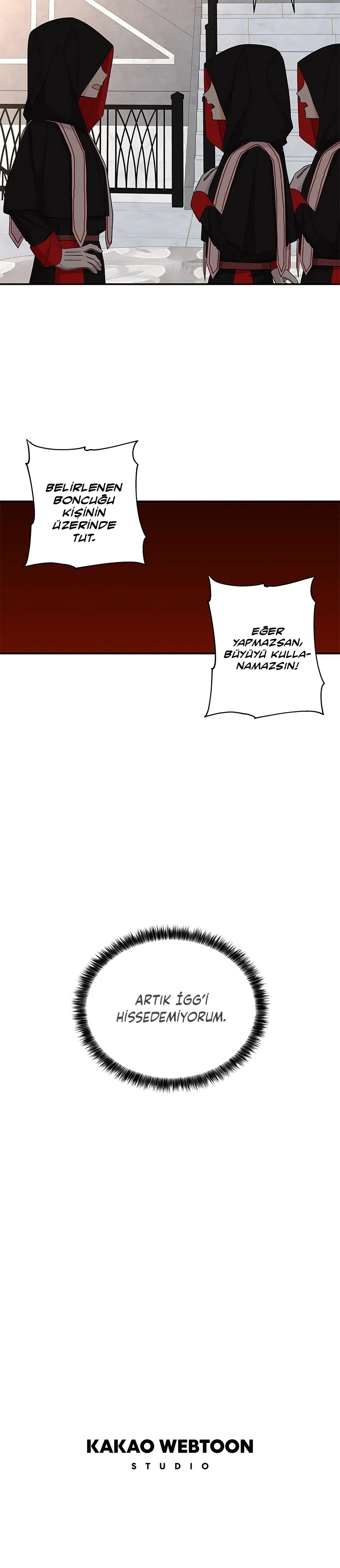Büyünün Varisi - Bölüm 114 Sayfa 29
