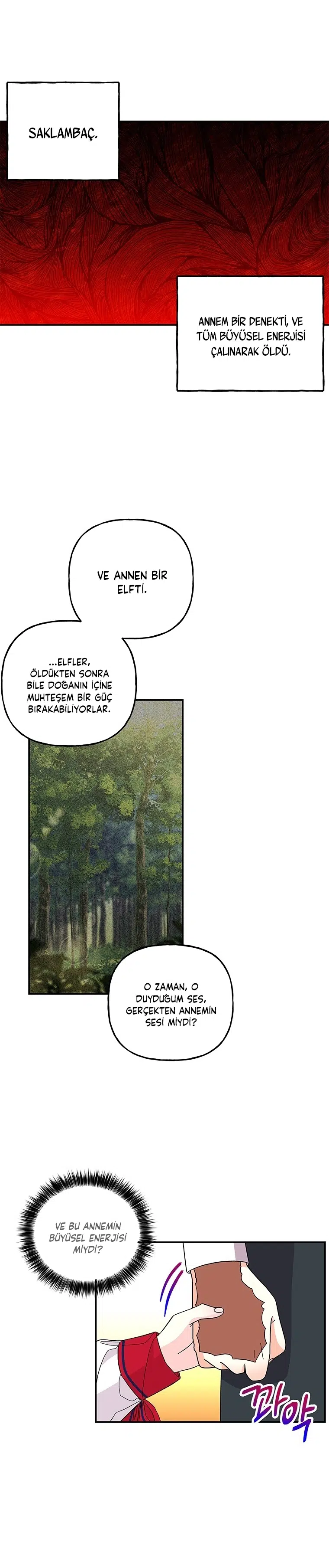 Büyünün Varisi - Bölüm 123 Sayfa 21