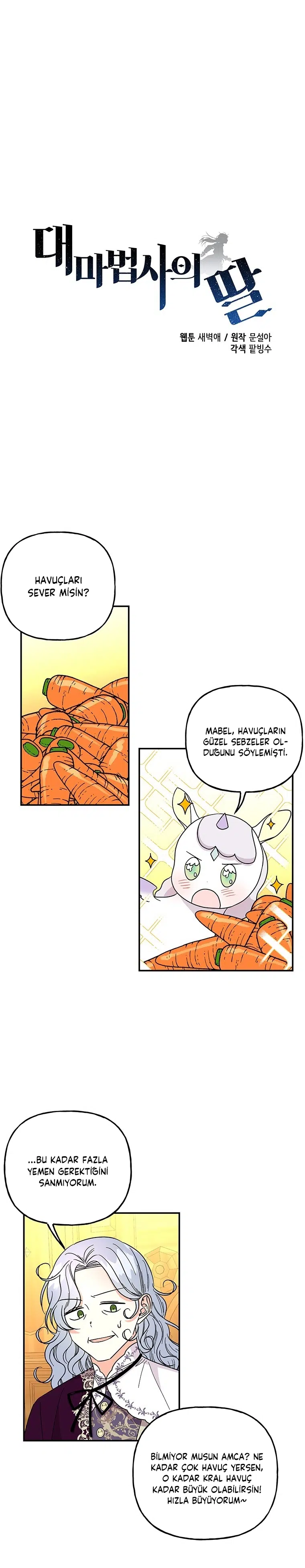 Büyünün Varisi - Bölüm 126 Sayfa 2