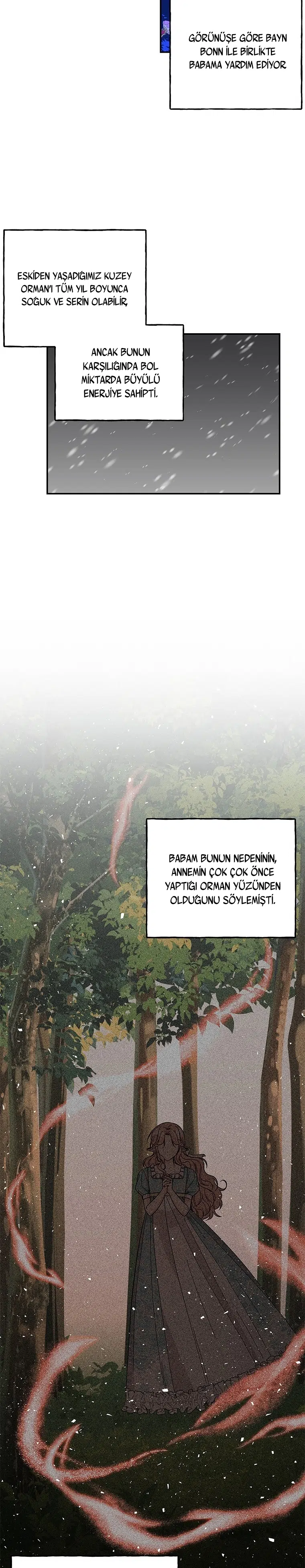 Büyünün Varisi - Bölüm 127 Sayfa 23