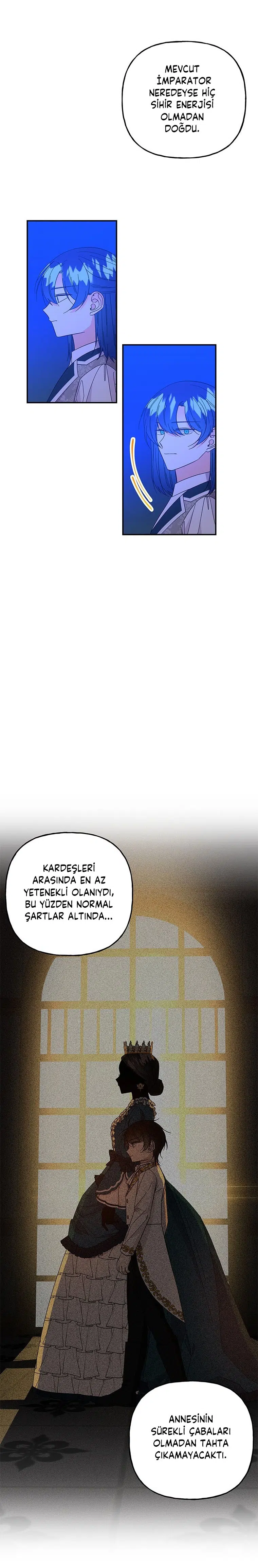 Büyünün Varisi - Bölüm 132 Sayfa 11