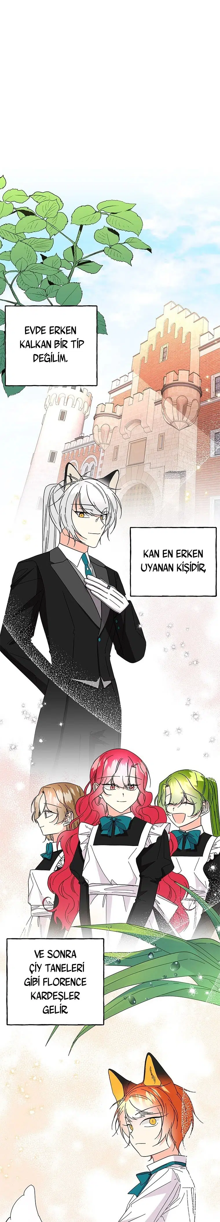 Büyünün Varisi - Bölüm 133 Sayfa 6