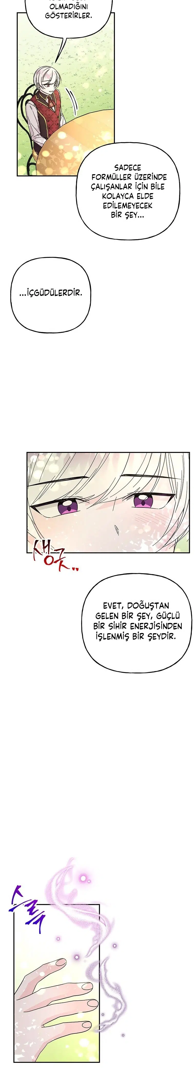 Büyünün Varisi - Bölüm 134 Sayfa 20