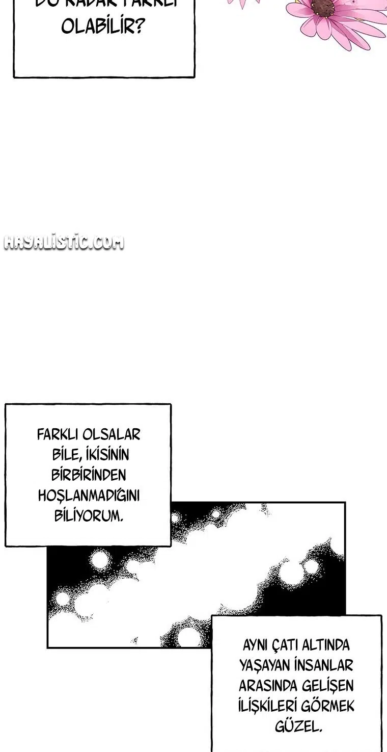 Büyünün Varisi - Bölüm 137 Sayfa 25