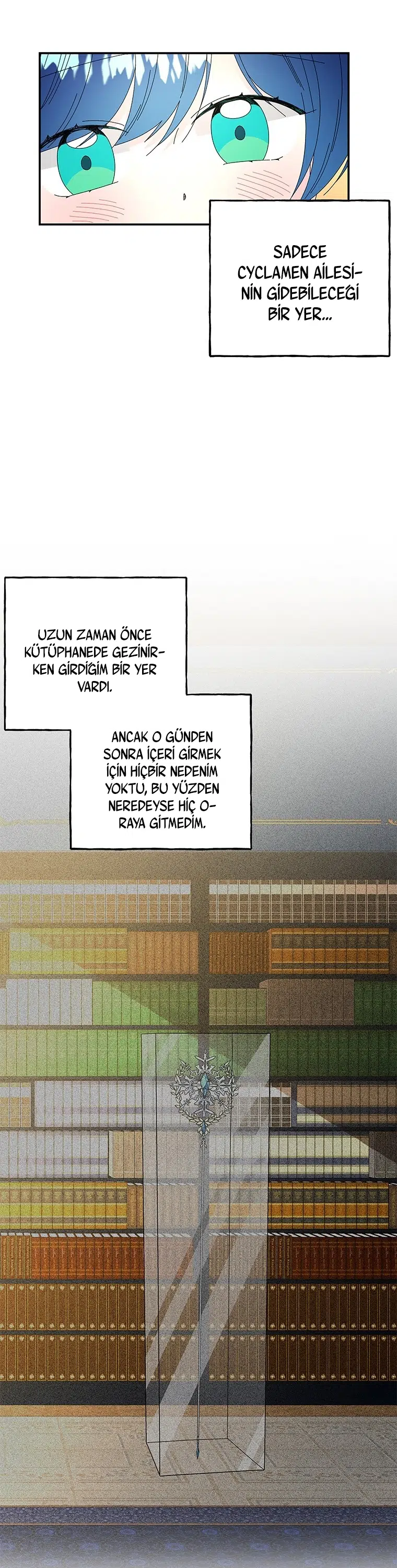 Büyünün Varisi - Bölüm 145 Sayfa 26