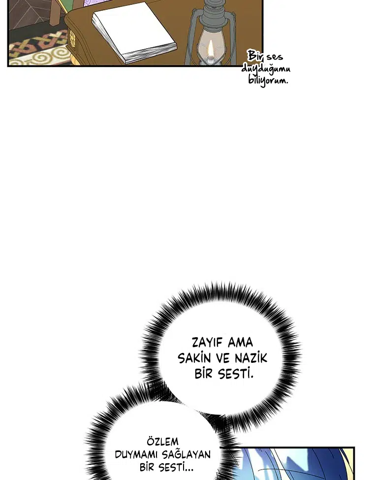 Büyünün Varisi - Bölüm 147 Sayfa 12