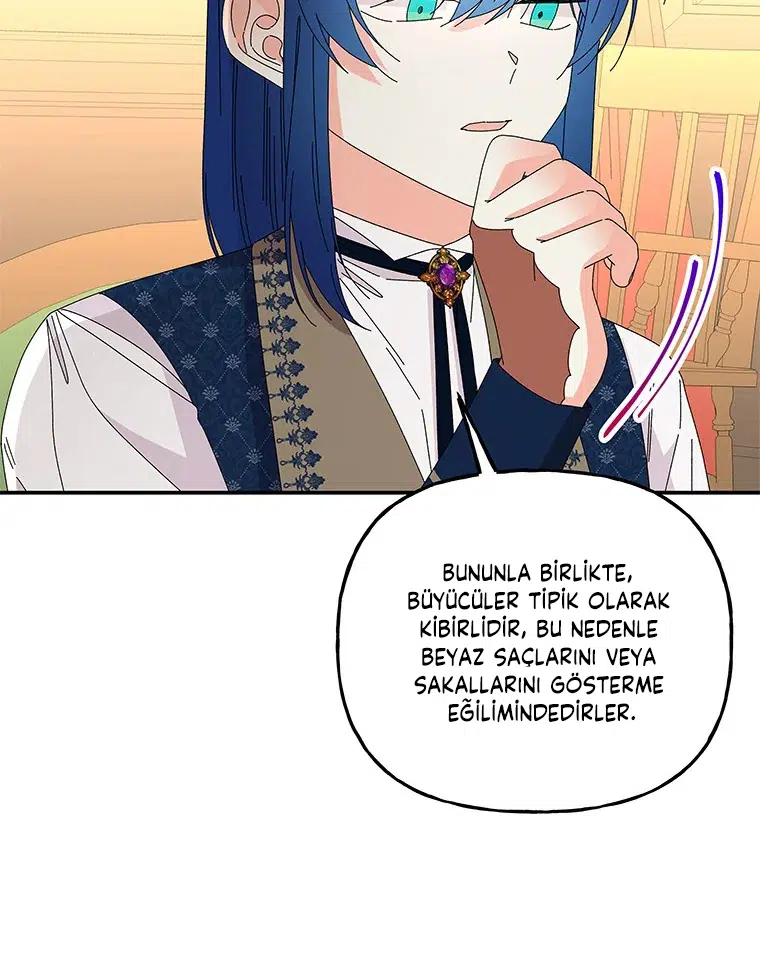 Büyünün Varisi - Bölüm 147 Sayfa 51