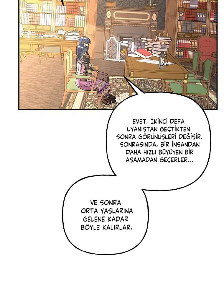 Büyünün Varisi - Bölüm 147 Sayfa 55