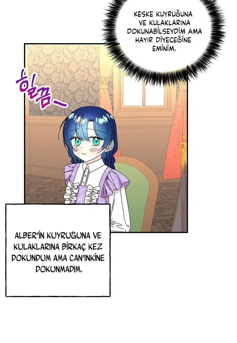 Büyünün Varisi - Bölüm 148 Sayfa 39