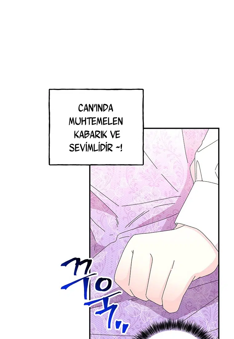 Büyünün Varisi - Bölüm 148 Sayfa 40