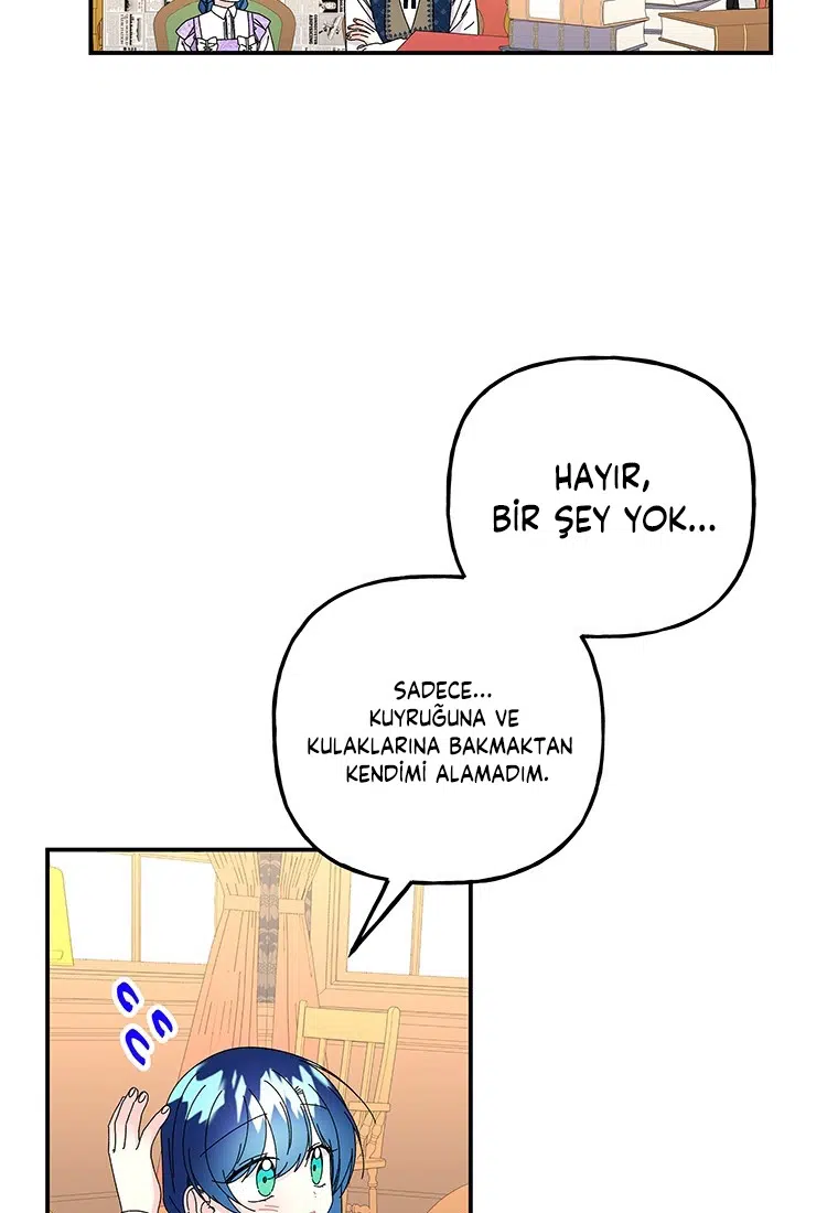Büyünün Varisi - Bölüm 148 Sayfa 43