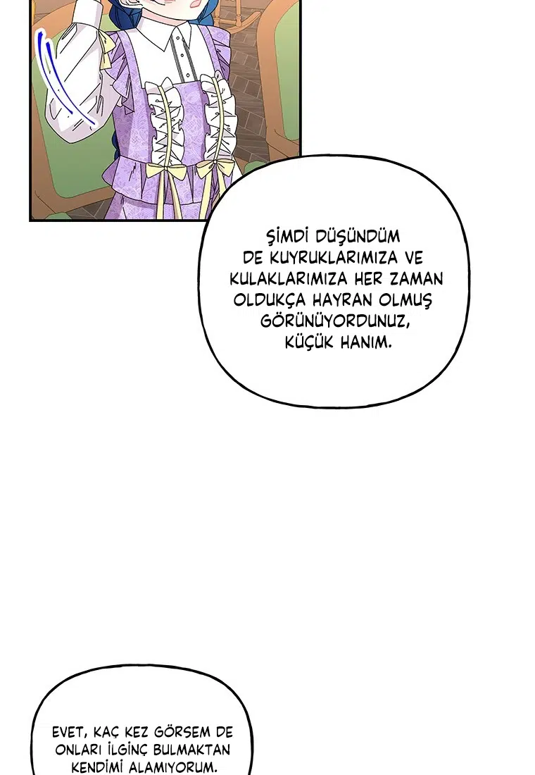 Büyünün Varisi - Bölüm 148 Sayfa 44
