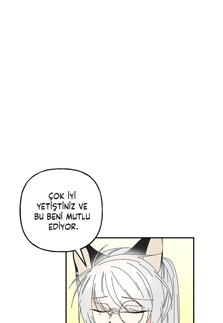 Büyünün Varisi - Bölüm 148 Sayfa 48